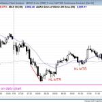 the Emini reversed up after testing last week's gap on the daily chart.